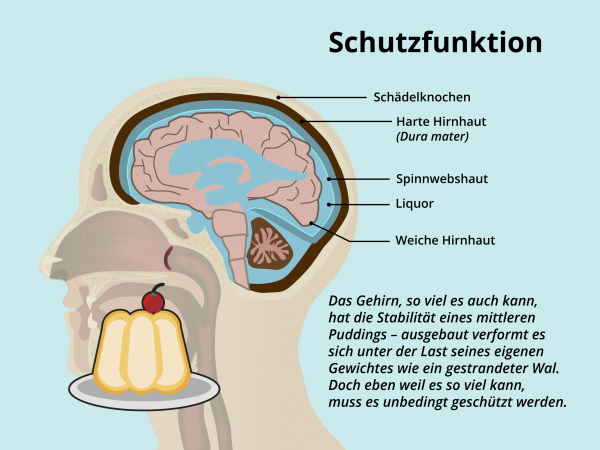 Geschütztes Gehirn