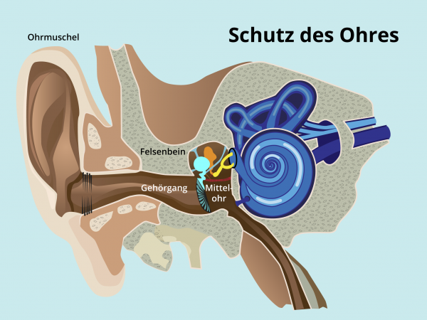 Schutz des Ohres